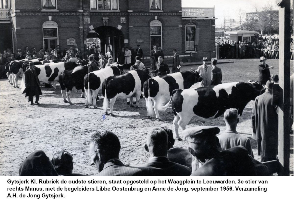 KI Gytsjerk 1950 tot en met 1959