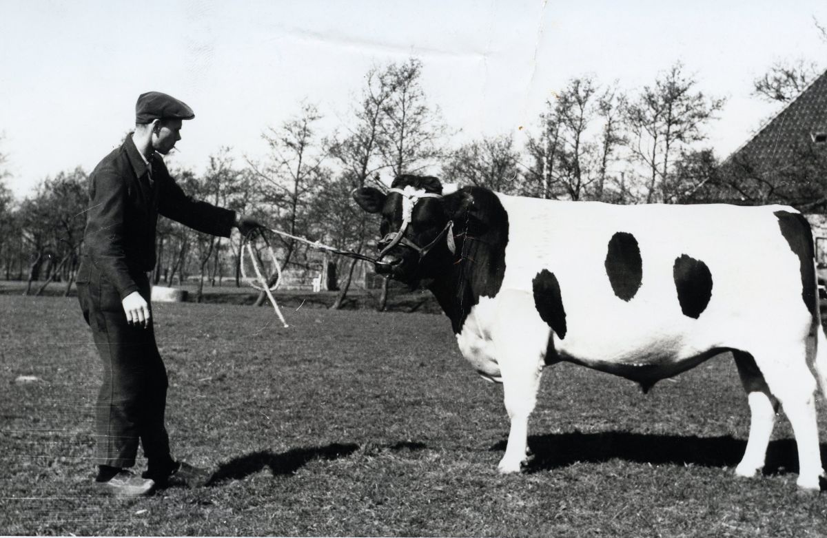 KI Gytsjerk 1960 tot en met 1969