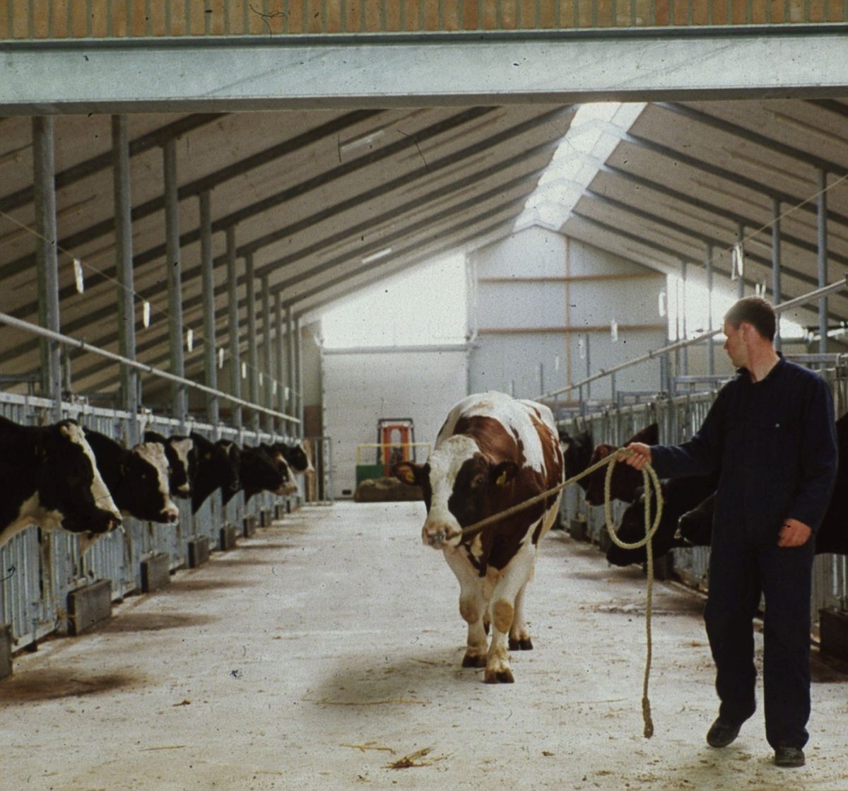 KI Gytsjerk 1990 tot en met 1999