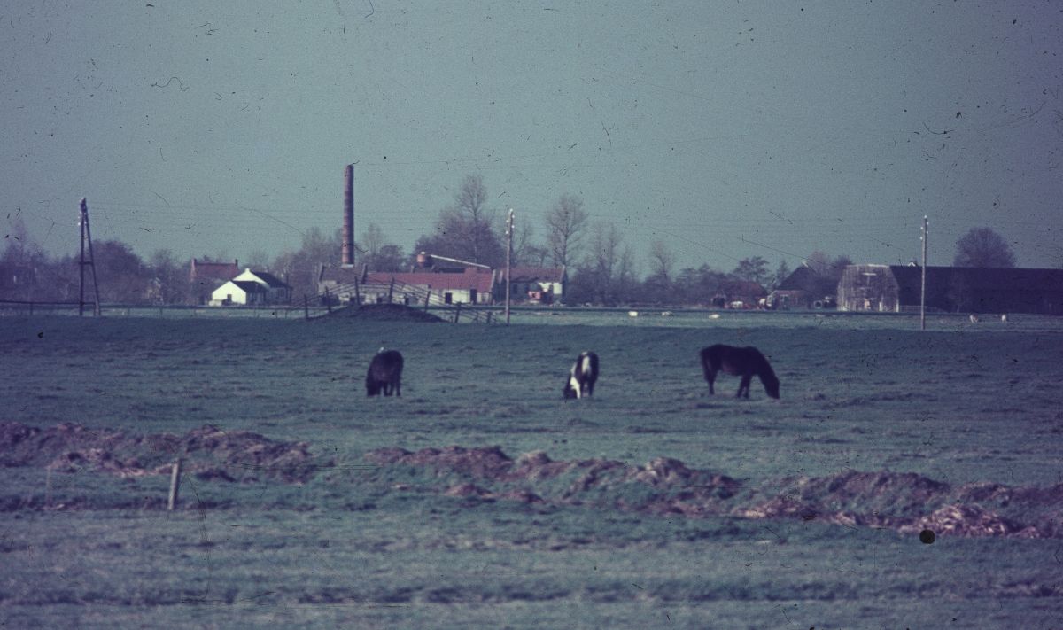 Vlasfabriek