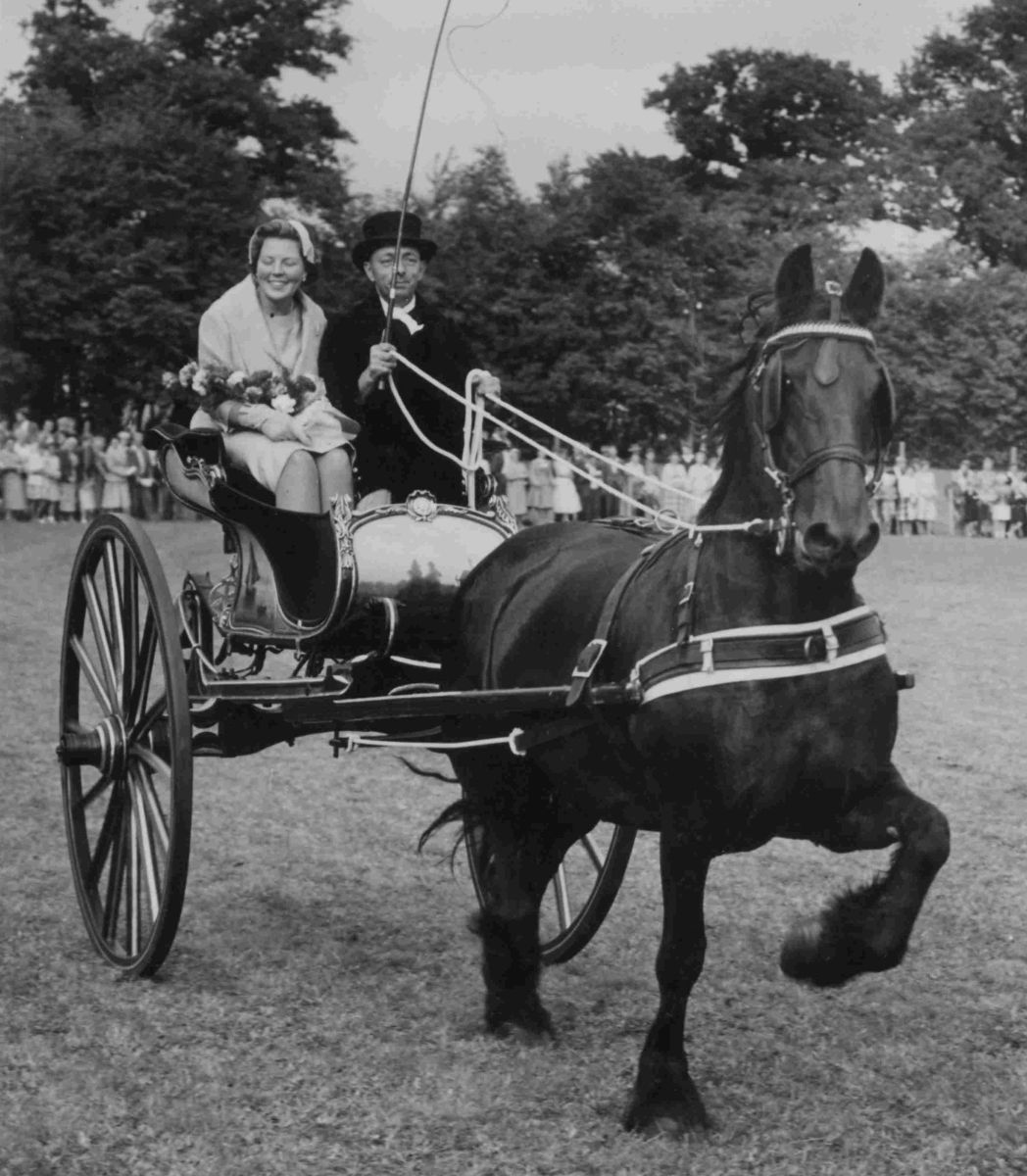 Prinses Beatrix Wyns